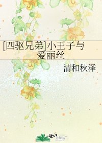 [四驱兄弟]小王子与爱丽丝